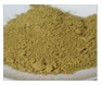 Cassia Tora powder